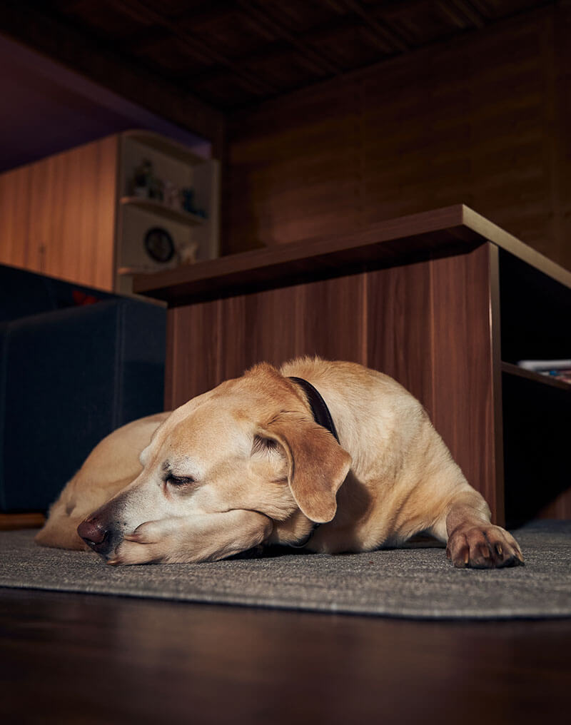 In-der-Ruhe-liegt-die-Rendite-Titel